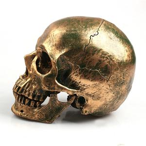 Resin Skull Prop for Halloween Decorations